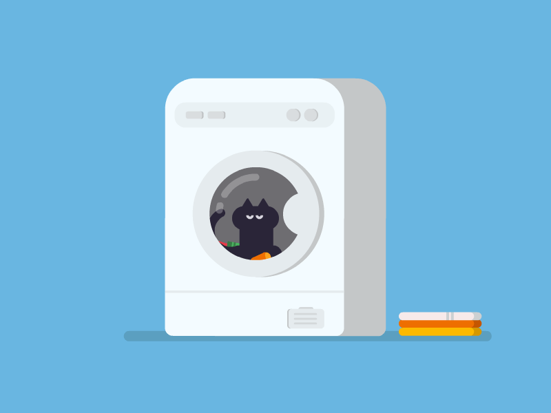 Washing machine with cat in it